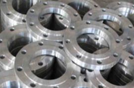 Duplex 2205 Flanges